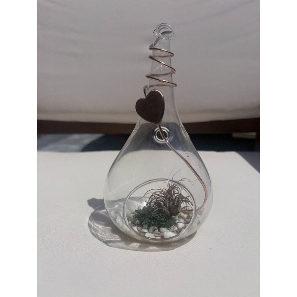 Glass Hanging Terrarium Vase with Copper Heart Wire Detail
